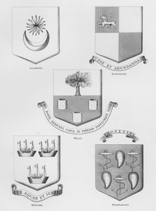 公共の武器イルチェスター、アルトリンガム、ウェルズ、ウェックスフォード、マッセルバーグ(彫刻) 作： English School