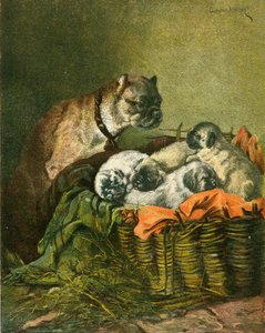 パグと子犬