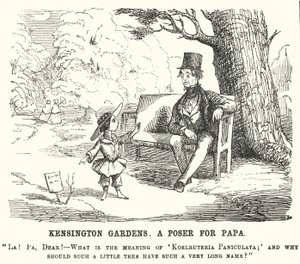 パンチ・カートゥーン：ロンドンのケンジントン・ガーデンズで父親に質問する子供（エングレーヴィング 作： English School