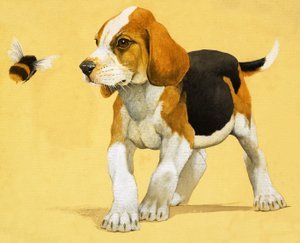 子犬 作： English School