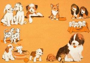 子犬 作： English School