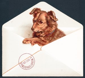 封筒、子犬の子犬