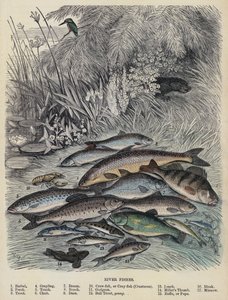 川の魚たち（彩色済み彫刻