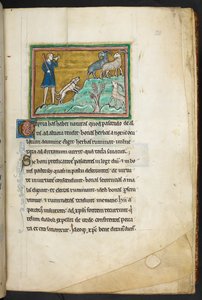 ロイヤル 12 F.XIII、f.20 犬を連れてヤギを追っているハンターまたは農夫。  Bestiary (ff. 3-141)、Lapidary (ff. 141v-149)  13世紀の第2四半期