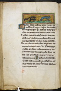ロイヤル 12 F.XIII、f.43v 猫を追いかけるネズミ、Bestiary (ff. 3-141)、Lapidary (ff. 141v-149) より  、13世紀の第2四半期（ベラム） 作： English School