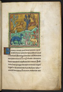 ロイヤル 12 F.XIII、f.7   ラクダと別の動物と一緒に鹿を追いかけるヒョウ。  Bestiary (ff. 3-141)、Lapidary (ff. 141v-149) から  13世紀の第2四半期