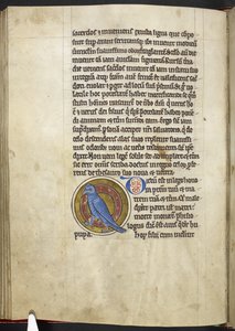 ロイヤル MS 12 C XIX f.50v、ヤツガシラ、「Bestiary」から、1200-10 年頃（ベラム紙にインク、カラー、ゴールド） 作： English School