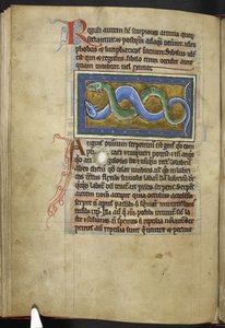Royal MS 12 C XIX、f.63v Anguis、「Bestiary」から、c.1200-10 (ベラム紙にインク、カラー、ゴールド) 作： English School