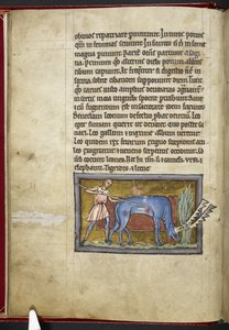 ロイヤル MS 12 C XIX、f.7v アンテロープ、「Bestiary」、c.1200-10 から（ベラムにインク、カラー、ゴールド） 作： English School