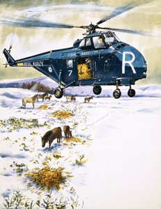 動物の救助に使用されるイギリス海軍のヘリコプター 作： English School