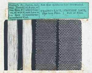 Urlings lace（textile）のサンプル 作： English School
