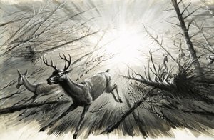 サイエンス・ナウ：地球が爆破した理由 作： English School