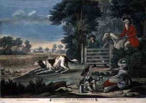 カリントン・ボウルズ（1744-93年）による「犬と鳥の設定」。 作： English School