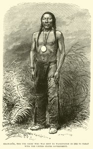 1863年に米国政府との治療のためにワシントンに派遣されたユテ族の首長、シャワノー 作： English School