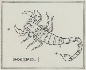 黄道十二宮：蠍座(彫刻) 作： English School