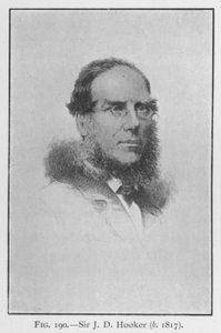 ジョセフ・ダルトン・フッカー卿（1817-1911）肖像（リトグラフ 作： English School