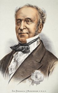 ロデリック・マーチソン卿、挿絵は、J。ユーイング・リッチーの「The Pictorial Edition of the Life and Discoveries of David Livingstone」のパブA. Fullarton＆Co.、1876年 作： English School