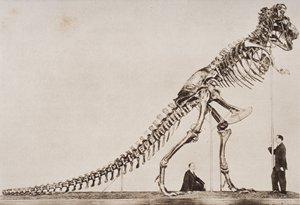 1920年に出版されたHGウェルズの「歴史の概要」第1巻のアメリカ自然史博物館にあるティラノサウルスレックスのスケルトン（写真グラビア）