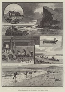 Behring Sea Seal-Fishery、St Paul "s、プリビロフ諸島のスケッチ 作： English School