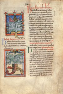 Sloane Ms 1975 fol.48 The Herb Basilica 作： English School