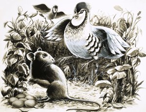 ネズミのスラムは、ウズラの卵を見つけたとき、運がいいと思った。