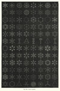雪の結晶（彫刻 作： English School