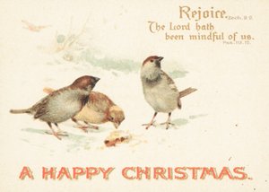 雪の中のスズメ、クリスマスカード 作： English School