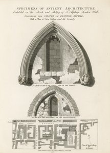 古代建築の標本 作： English School
