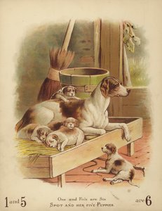 スポットと5匹の子犬（クロモリソ） 作： English School