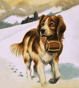 セントバーナードの犬