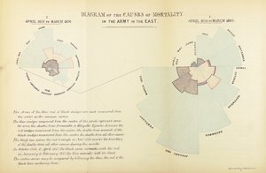1854年4月から1855年3月まで、および1855年4月から馬までのクリミア戦争中のイギリス軍の死亡原因としての疾患の優勢を示すためにフローレンスナイチンゲールが発明した統計グラフ 作： English School