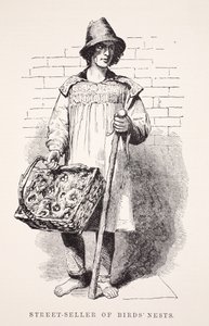 鳥の巣のストリートセラー。ロンドンレイバーとロンドンプアーのイラスト、ヘンリーメイヒューのパブ。 1862 作： English School