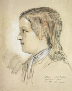 アレックスポープ（1688-1744）の頭のための研究、バトラーズコーヒーハウスのドライデン入門（紙、鉛筆、チョーク、木炭）