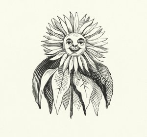 ヒマワリ（彫刻 作： English School