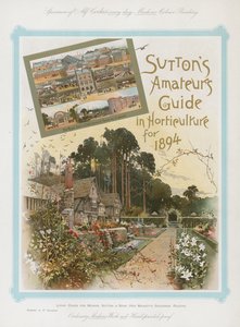 1894年の園芸におけるSuttonsアマチュアガイド 作： English School