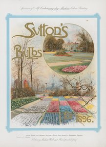 1896年のサットンズ電球 作： English School