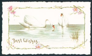白鳥の湖、クリスマスカード