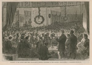 ロンドンのアイリッシュライフルボランティアを特別巡査として宣誓 作： English School