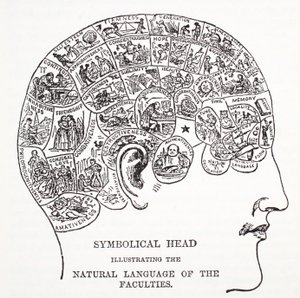 学部の自然言語を示す象徴的な頭 作： English School