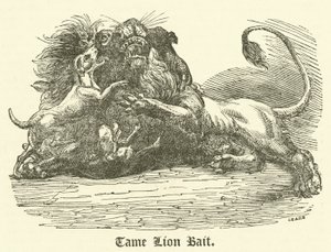 Tame Lion Bait（彫刻 作： English School