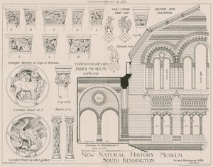 サウスケンジントンの新しい自然史博物館のテラコッタの詳細 作： English School