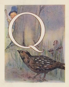 動物のABC文字Q、ウズラ（カラーリトグラフ） 作： English School