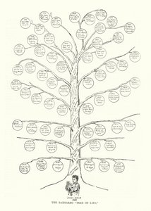 The Barnardo Tree of Life（リトグラフ 作： English School