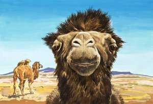 ラクダ、『おかしな顔をした生き物たち』からのイラスト
