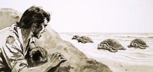 漂流者：タートル島の恐怖 作： English School