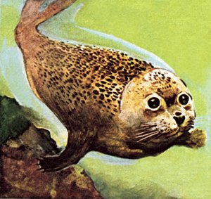 コモンシール