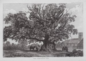 The Cowthope Oak (エングレービング) 作： English School