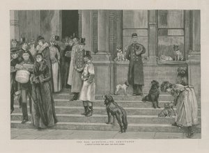 犬の質問-入場不可 作： English School