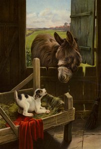 飼い葉桶の犬（カラーリトグラフ） 作： English School