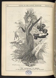 種の「絶滅」。 または、1899 年 9 月 6 日の「パンチ、またはロンドンのチャリヴァリ」からの容赦のないファッション プレートの女性と白鷺 (彫刻)